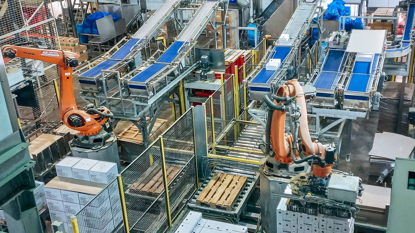 I robot KUKA pallettizzano nella cella frigorifera