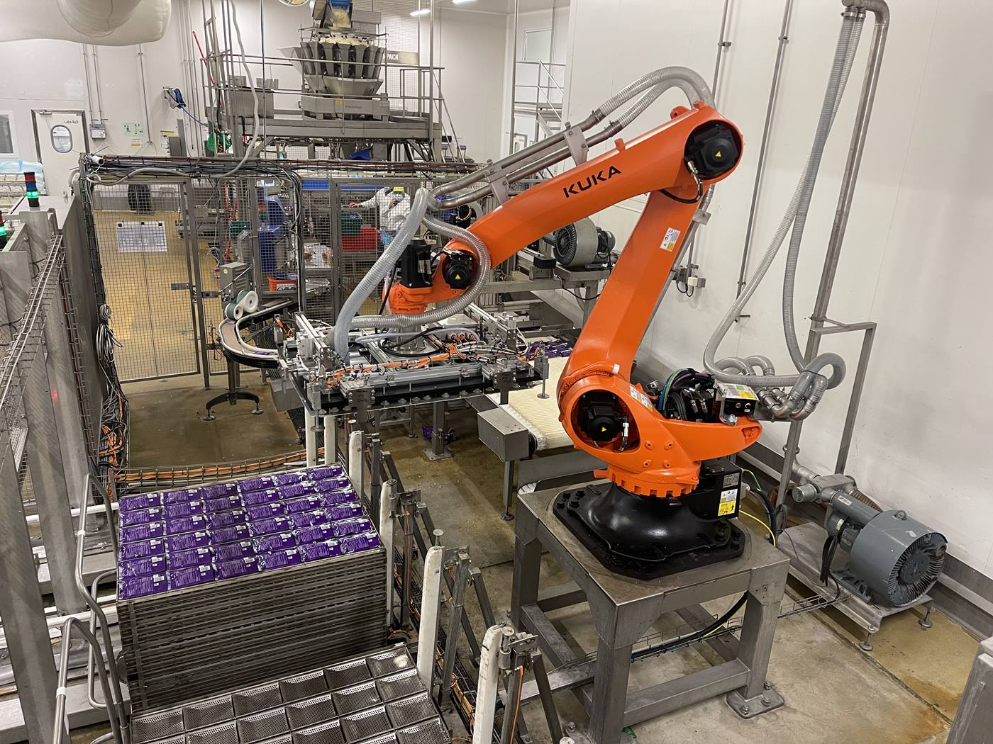 Inariz robot KR QANTEC PA 2 qui enclaye des sachets de riz - image 1