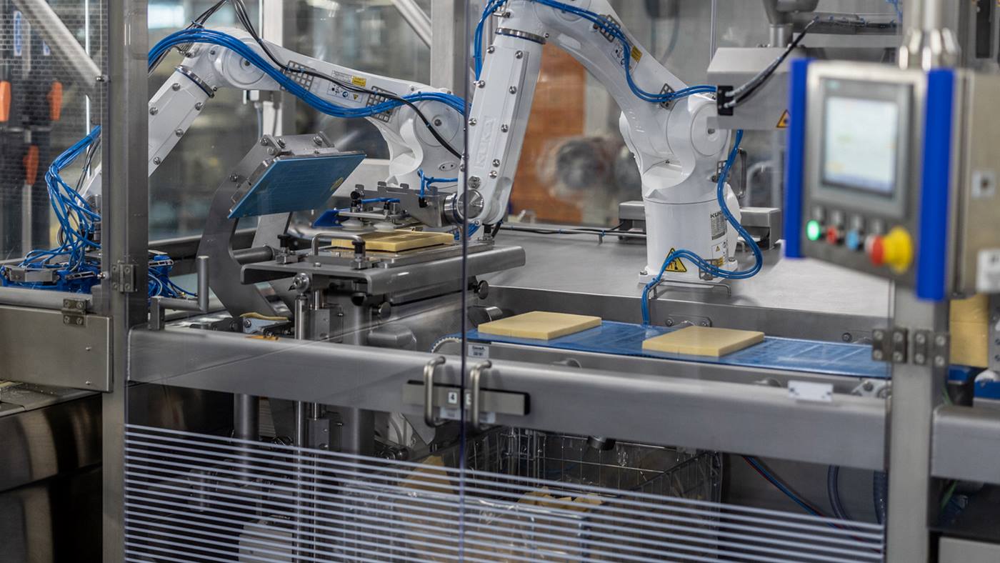 Hygienic food processing and automation.